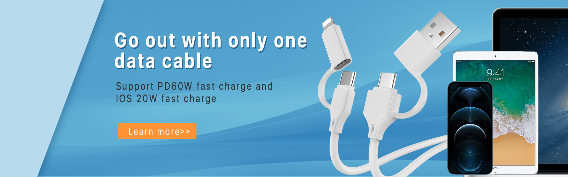 4-in-1 PD Quick Charger Data Cable