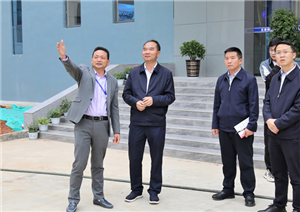 Huize County Party secretary Ding Dongping and his party to Yunnan Xuan Lian Industrial Co., Ltd. on-site guidance work.
